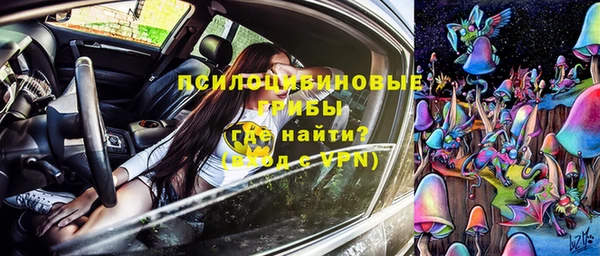 спиды Алзамай
